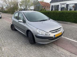 Peugeot 307 1.6-16V automaat picture 1