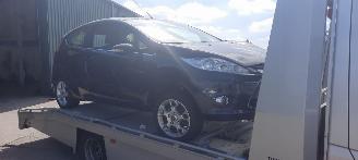 Schade caravan Ford Fiesta 1.25 16v 2012/4