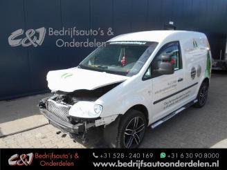 damaged commercial vehicles Volkswagen Caddy Caddy III (2KA,2KH,2CA,2CH), Van, 2004 / 2015 1.9 TDI 2005/9