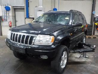 škoda osobní automobily Jeep Grand-cherokee Grand Cherokee (WG/WJ) SUV 4.7i V-8 HO (EVC) [190kW]  (10-2001/09-2005=
) 2002/1