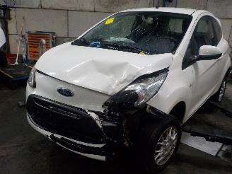 Damaged car Ford Ka Ka II Hatchback 1.2 (169.A.4000(Euro 4) [51kW]  (10-2008/05-2016) 2011/11