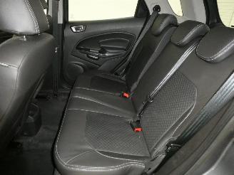 Ford EcoSport 1.0 picture 16