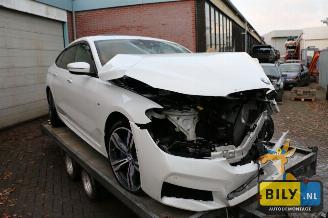 dommages fourgonnettes/vécules utilitaires BMW 6-serie G32 3.0dX 2017/8
